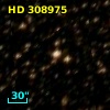 HD 308975