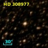 HD 308977