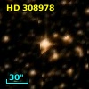 HD 308978