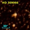 HD 309066