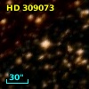 HD 309073