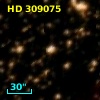 HD 309075