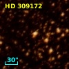 HD 309172