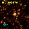 HD 309176