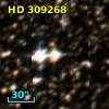 HD 309268
