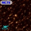 CSS  774