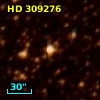 HD 309276