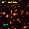 HD 309184