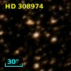 HD 308974