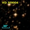 HD 309004
