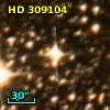 HD 309104