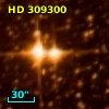 HD 309300
