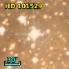 HD 101529