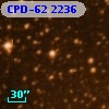 CPD-62  2236
