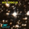 HD 309018