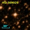 HD 309029