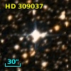 HD 309037