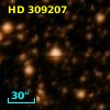 HD 309207