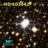 HD 103442