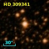 HD 309341