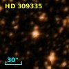 HD 309335