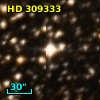 HD 309333