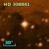 HD 308841
