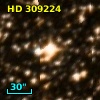 HD 309224