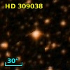 HD 309038
