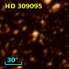 HD 309095