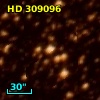 HD 309096