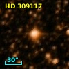 HD 309117