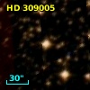 HD 309005