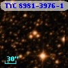 TYC 8981-3976-1
