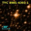 TYC 8981-4393-1
