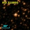 HD 310895