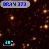 BRAN 373