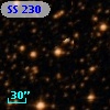 SS 230