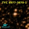 TYC 8977-3870-1