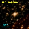 HD 308990