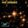HD 309060