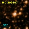 HD 309107