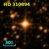 HD 310894
