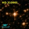 HD 310901