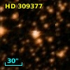 HD 309377