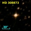 HD 308873