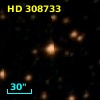 HD 308733