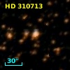 HD 310713