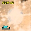 GUM 42