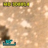 HD 308814
